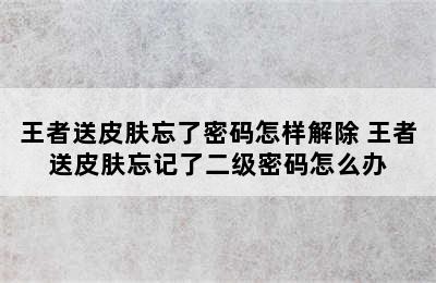 王者送皮肤忘了密码怎样解除 王者送皮肤忘记了二级密码怎么办